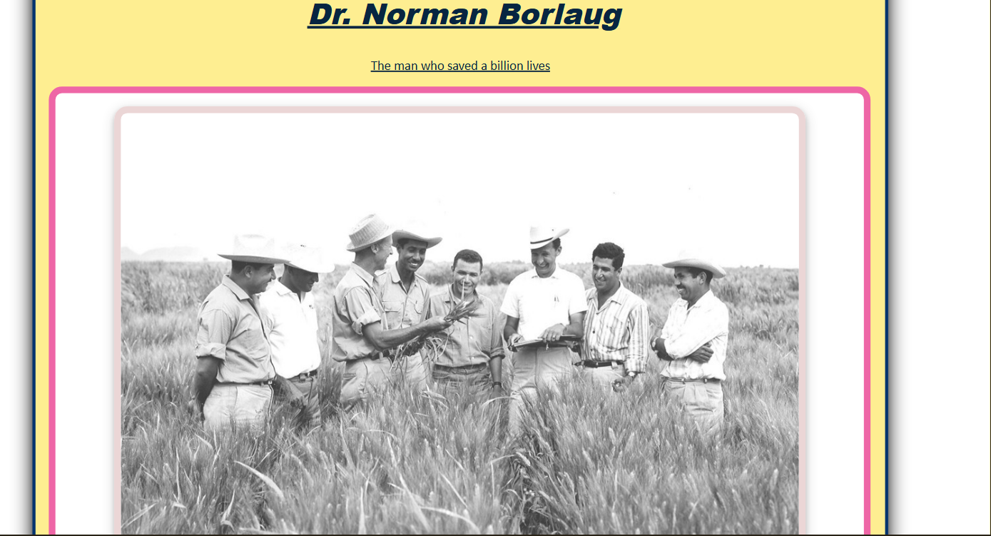 Nature Connect Website